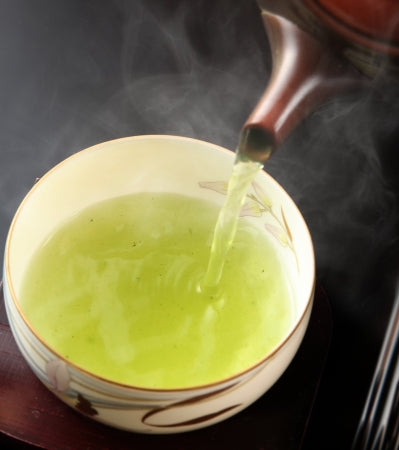 やぶきた種が緑茶（日本茶）のなかで人気の理由